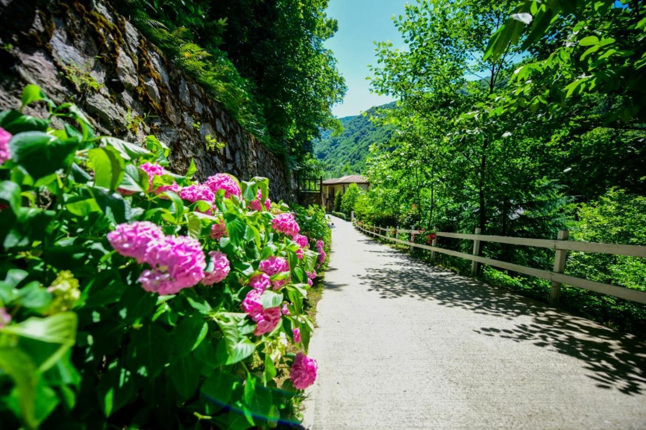 Naturkoy Sapanca ซาคาร์ยา ภายนอก รูปภาพ